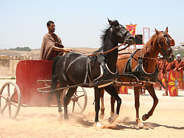 Chariot
